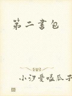 第二书包