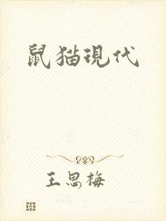 鼠猫现代