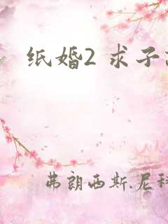 纸婚2 求子记
