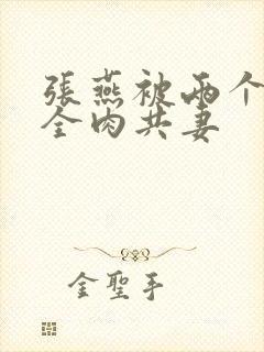 张燕被两个局长全肉共妻