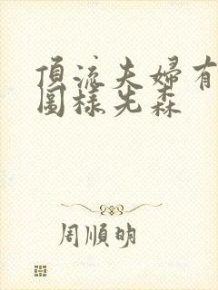 顶流夫妇有点甜图样先森