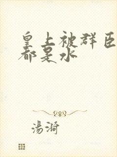 皇上被群臣干的都是水