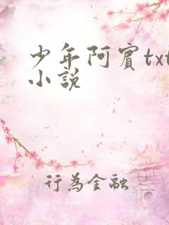 少年阿宾txt小说