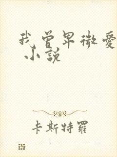 我曾卑微爱过你 小说