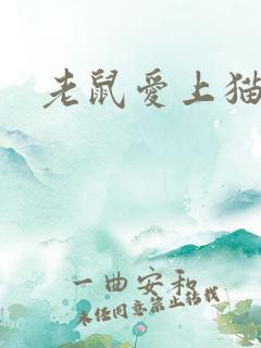 老鼠爱上猫下载