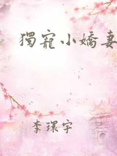 独宠小娇妻