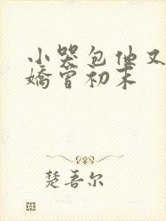 小哭包他又软又娇曾初末