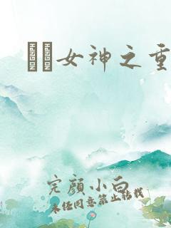 鹡鸰女神之重生