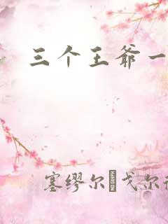 三个王爷一个妃