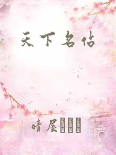 天下名站
