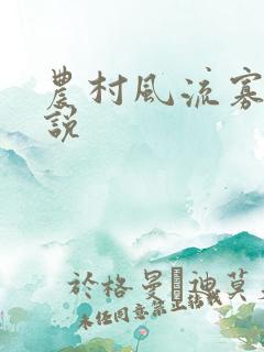 农村风流寡妇小说