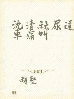 沈清秋尿道扩张车痛叫