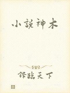 小说神木