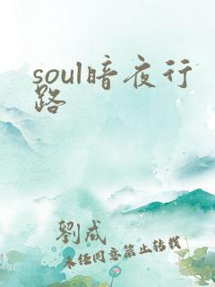 soul暗夜行路