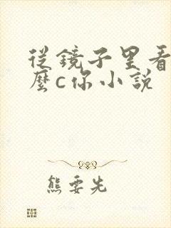 从镜子里看我怎么c你小说