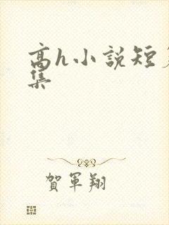 高h小说短篇合集