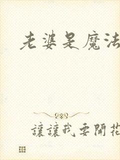 老婆是魔法少女