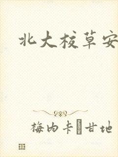 北大校草安允泽