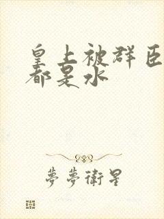 皇上被群臣干的都是水