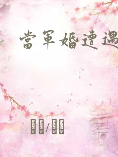 当军婚遭遇爱情