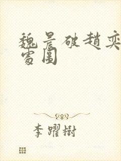 魏晨破赵奕欢的处图