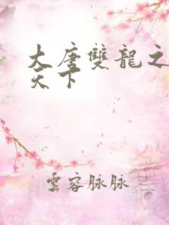 大唐双龙之无敌天下