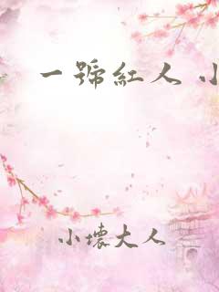 一号红人 小说