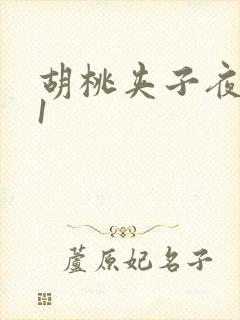 胡桃夹子夜未眠1