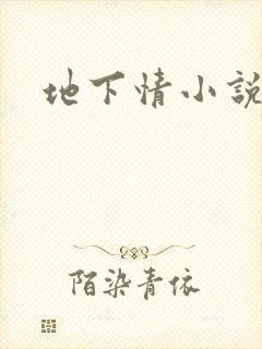 地下情小说