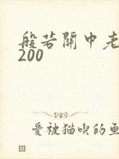 般若关中老人5200