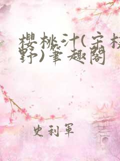 樱桃汁(宋枝江野)笔趣阁