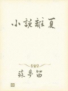 小说离夏