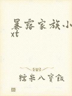 暴露家族小说txt