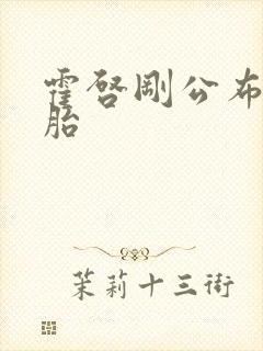 霍启刚公布龙凤胎