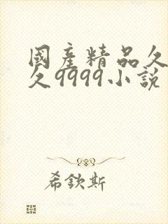 国产精品久久久久9999小说