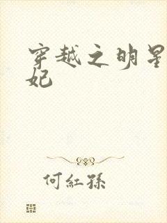 穿越之明星太子妃