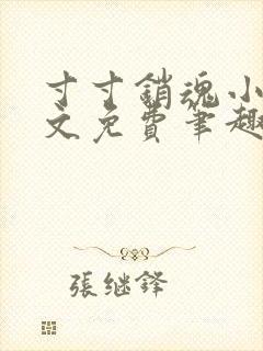 寸寸销魂小说全文免费笔趣阁