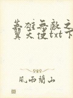 英雄无敌之十二翼天使txt下载