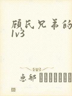 顾氏兄弟的南宁1v3