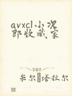 avxcl小次郎收藏家
