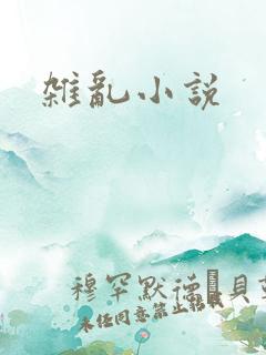 杂乱小说