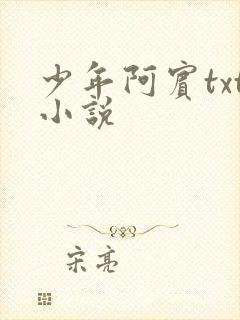 少年阿宾txt小说
