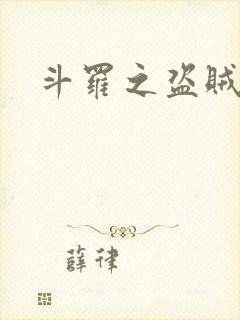 斗罗之盗贼