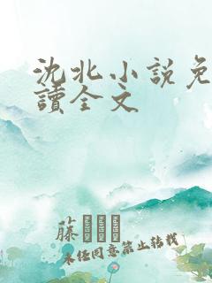 沈北小说免费阅读全文