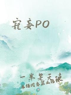 宠妾PO