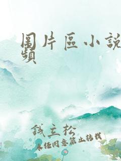 图片区小说区视频