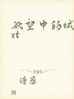 欲望中的城市txt