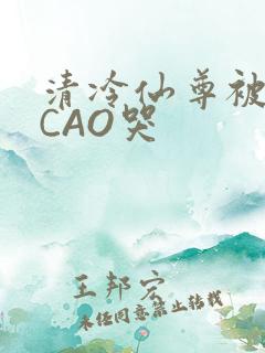 清冷仙尊被强制CAO哭