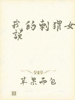 我的刺猬女孩小说