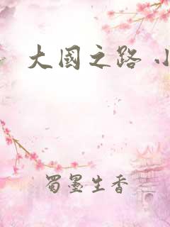 大国之路 小说